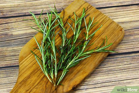 Detail Rosemary Untuk Masakan Apa Nomer 10