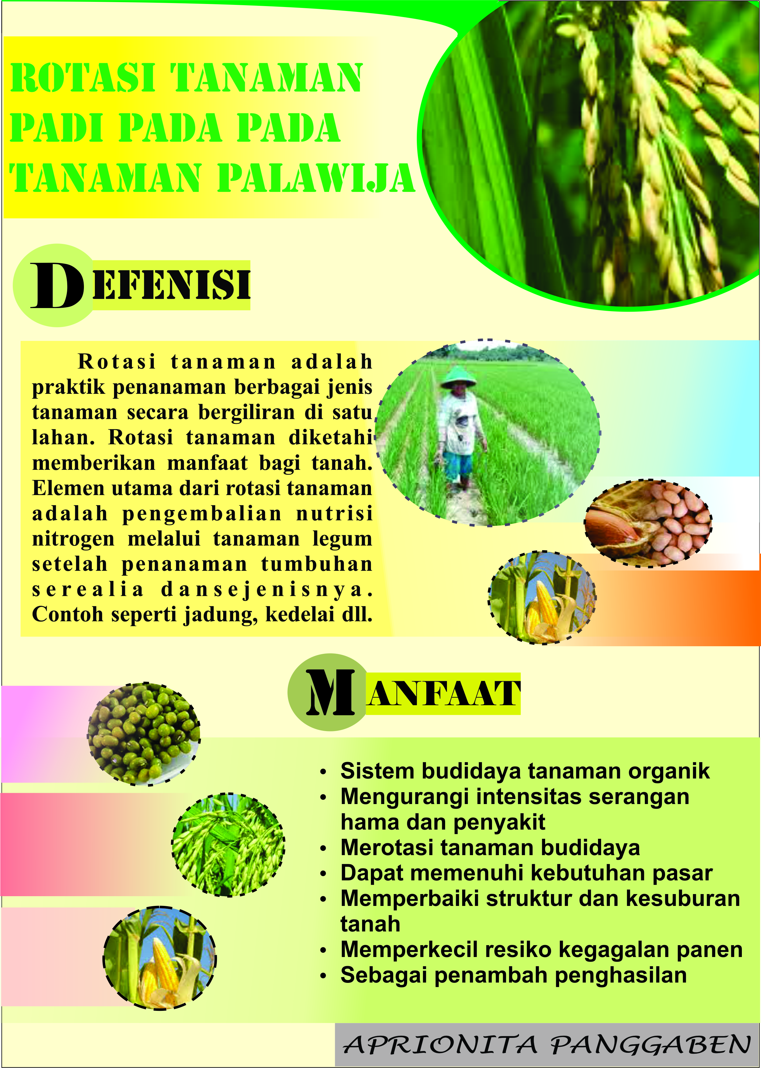 Detail Rotasi Tanaman Adalah Nomer 12