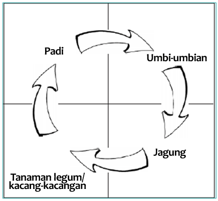 Detail Rotasi Tanaman Adalah Nomer 24