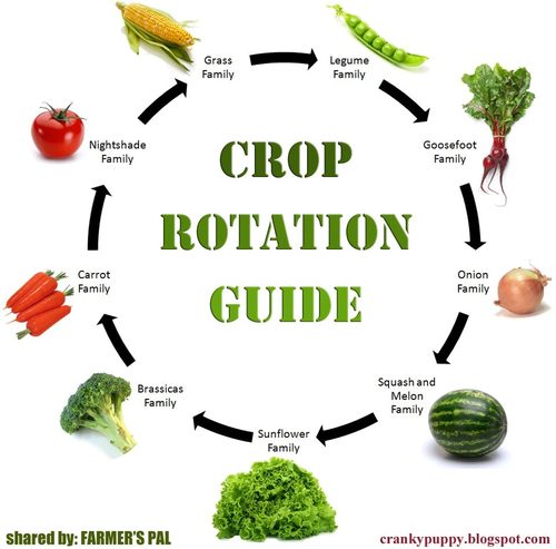 Detail Rotasi Tanaman Adalah Nomer 9