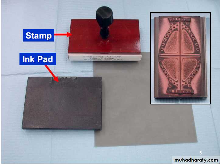 Detail Rubber Dam Stamp Template Nomer 23