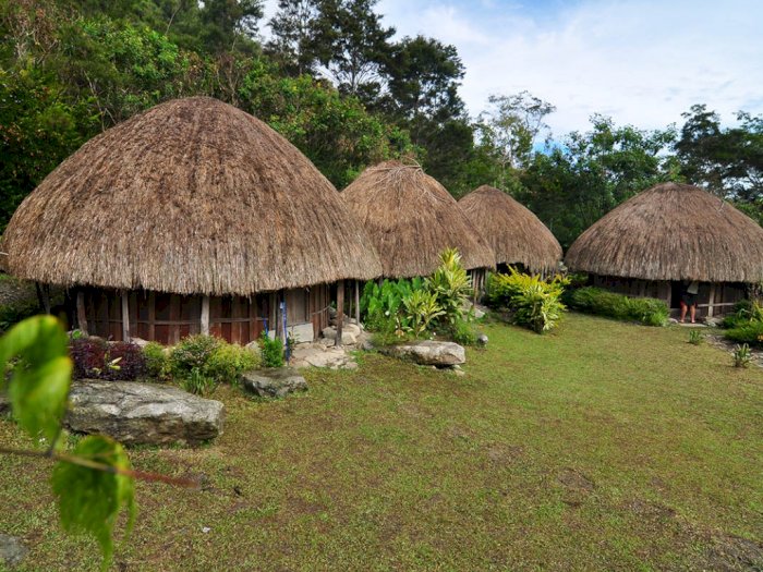 Detail Rumah Adat Di Daerah Papua Adalah Nomer 22