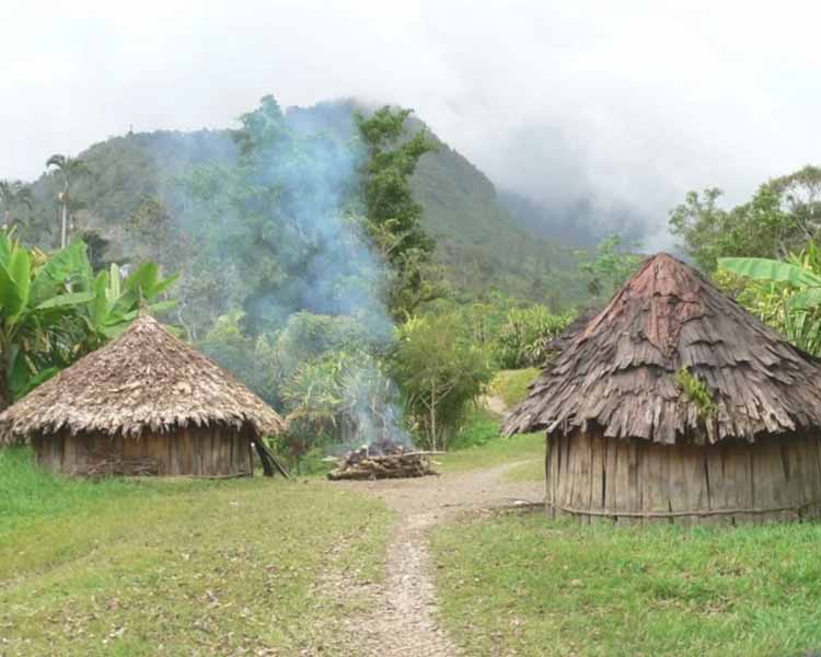 Detail Rumah Adat Di Daerah Papua Adalah Nomer 28