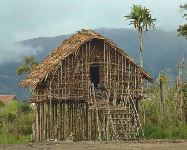 Detail Rumah Adat Di Daerah Papua Adalah Nomer 34