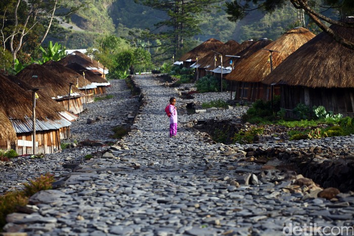 Detail Rumah Adat Di Daerah Papua Adalah Nomer 43