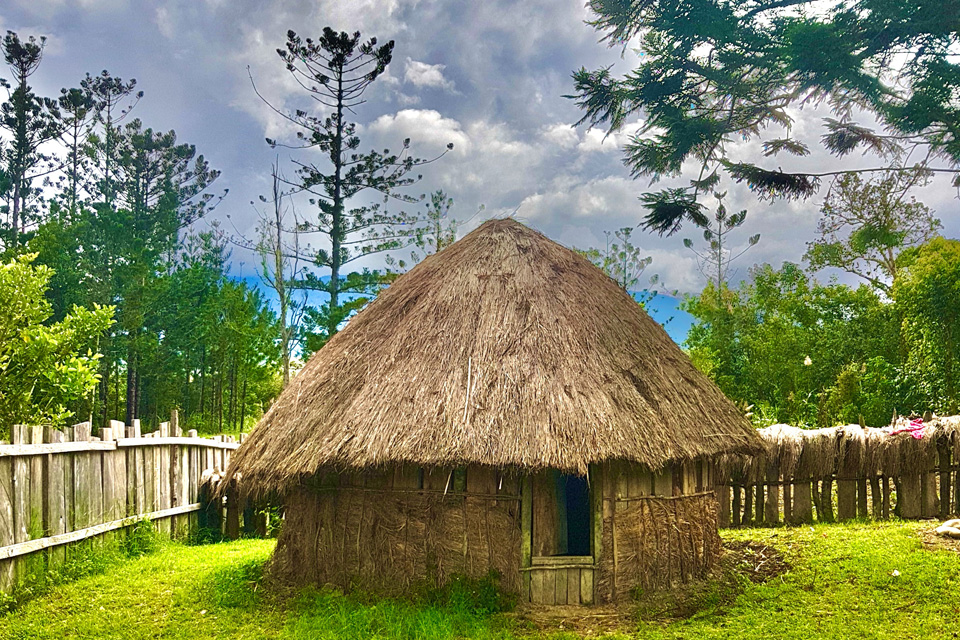 Detail Rumah Adat Di Daerah Papua Adalah Nomer 6