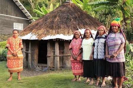 Detail Rumah Adat Di Daerah Papua Adalah Nomer 49