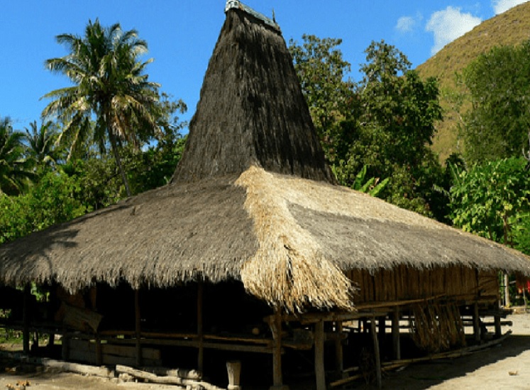 Detail Rumah Adat Nusa Tenggara Timur Dikenal Dengan Nama Nomer 12