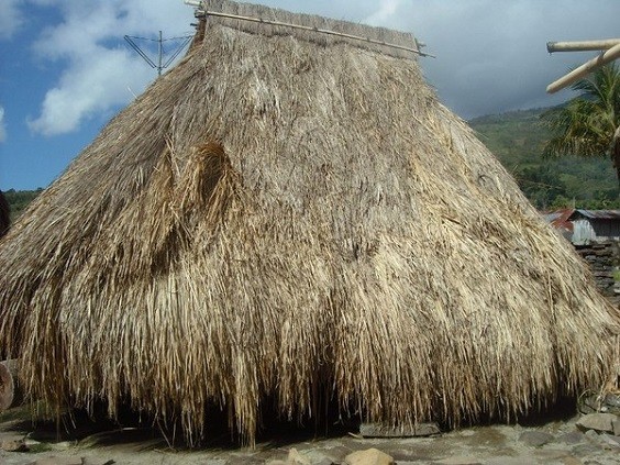 Detail Rumah Adat Nusa Tenggara Timur Dikenal Dengan Nama Nomer 31