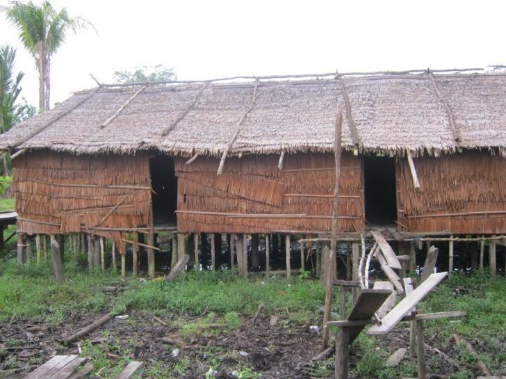 Detail Rumah Adat Suku Asmat Adalah Nomer 15