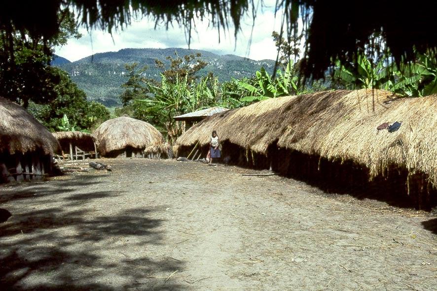 Detail Rumah Adat Suku Asmat Adalah Nomer 4