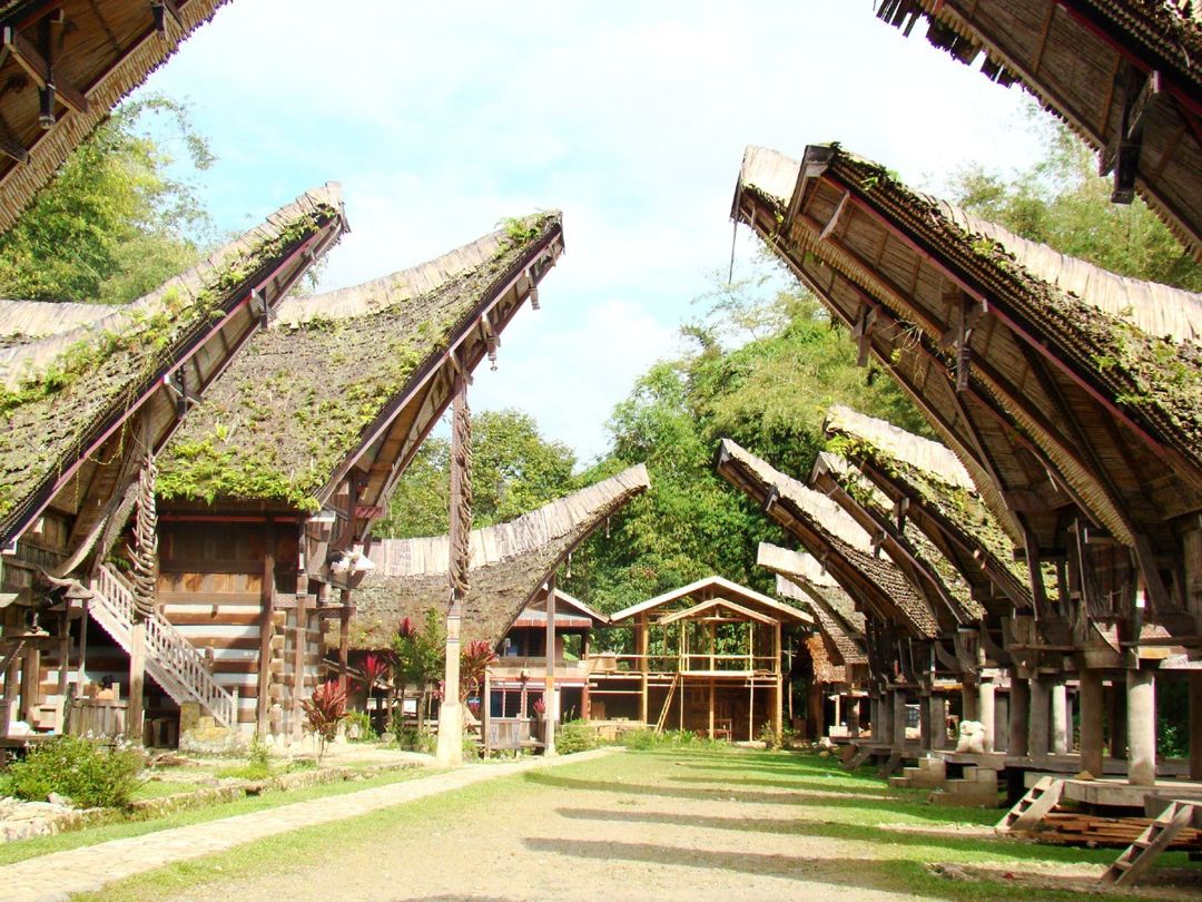 Detail Rumah Adat Toraja Disebut Nomer 12