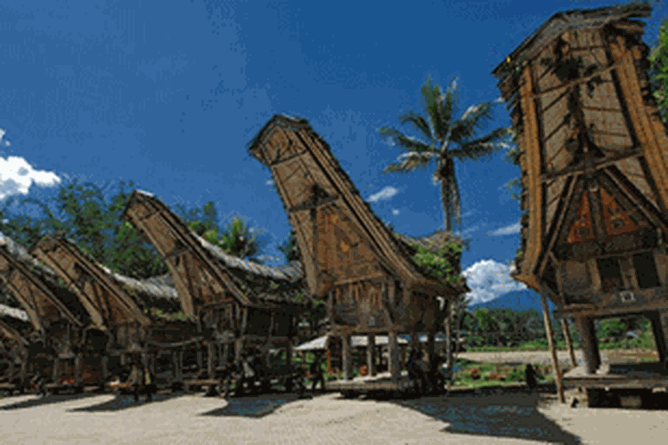 Detail Rumah Adat Toraja Disebut Nomer 36