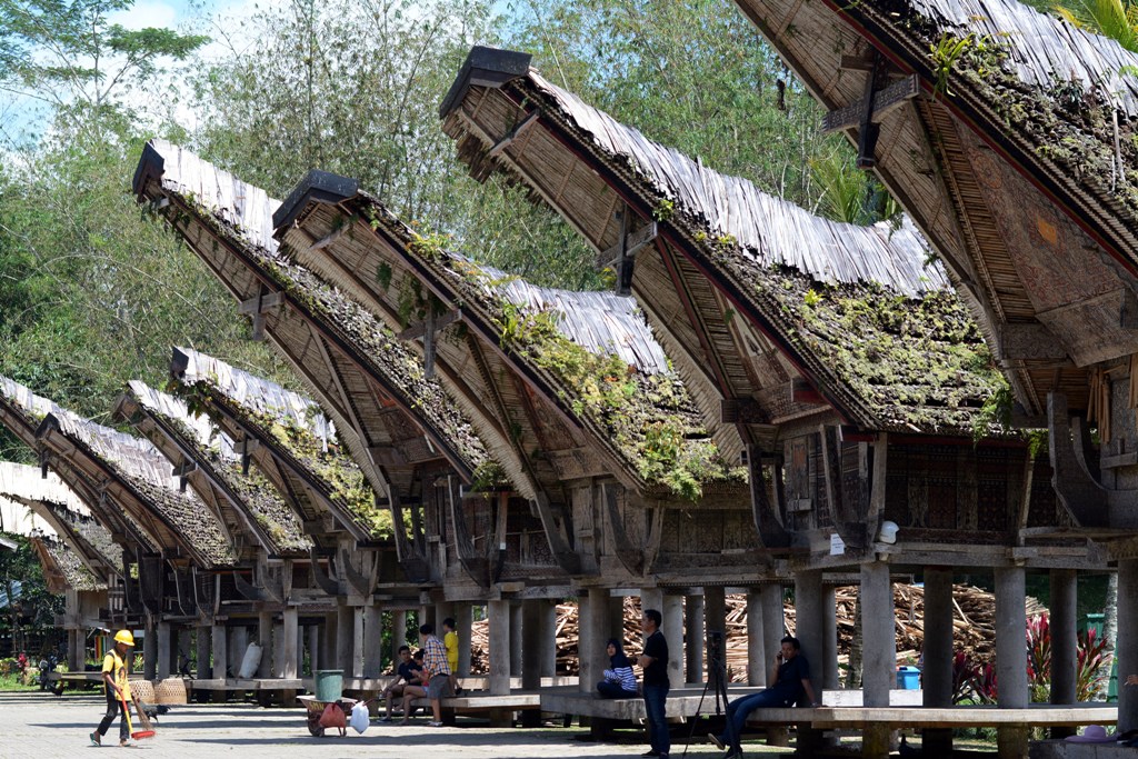 Detail Rumah Adat Toraja Disebut Nomer 37