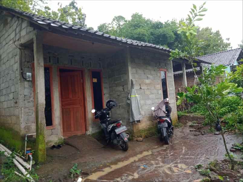 Detail Rumah Kampung Harga 80 Juta Nomer 9