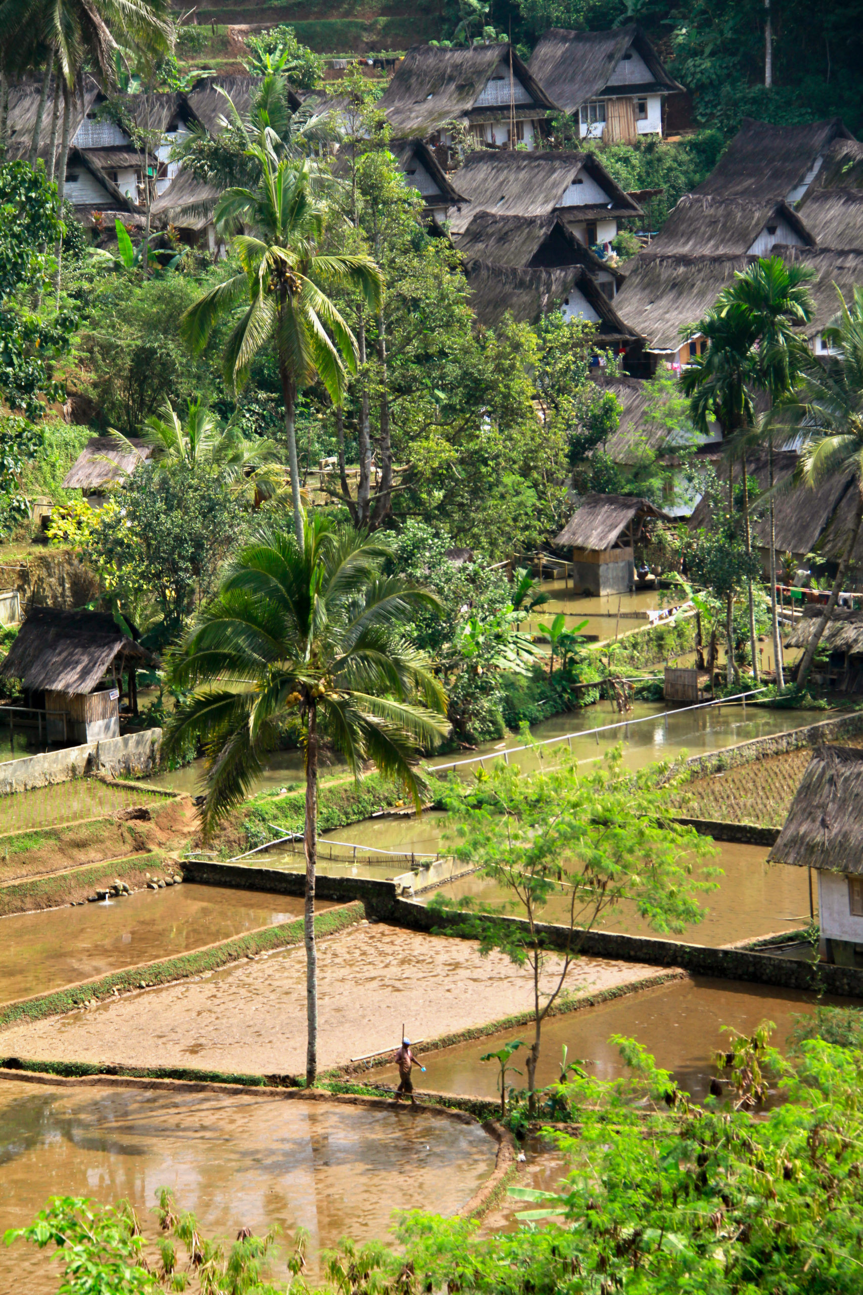 Detail Rumah Kampung Naga Dapat Kita Temukan Di Kabupaten Nomer 21