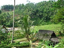 Detail Rumah Kampung Naga Dapat Kita Temukan Di Kabupaten Nomer 46