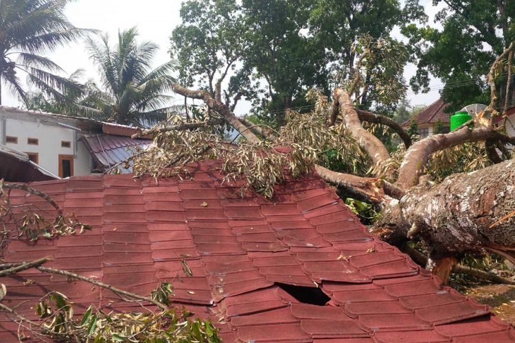 Detail Rumah Merah Sukabumi Nomer 46