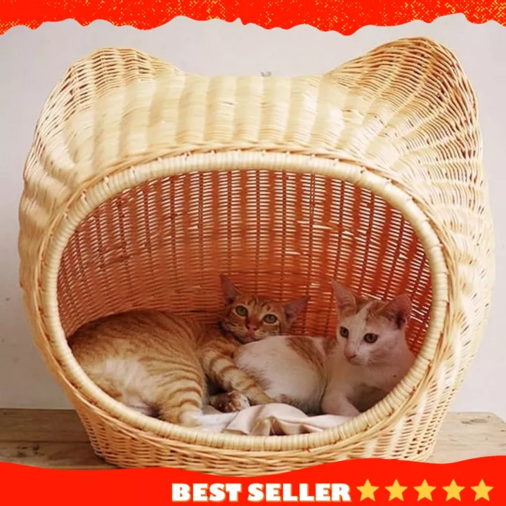 Detail Rumah Untuk Kucing Nomer 28