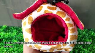 Detail Rumah Untuk Sugar Glider Nomer 33