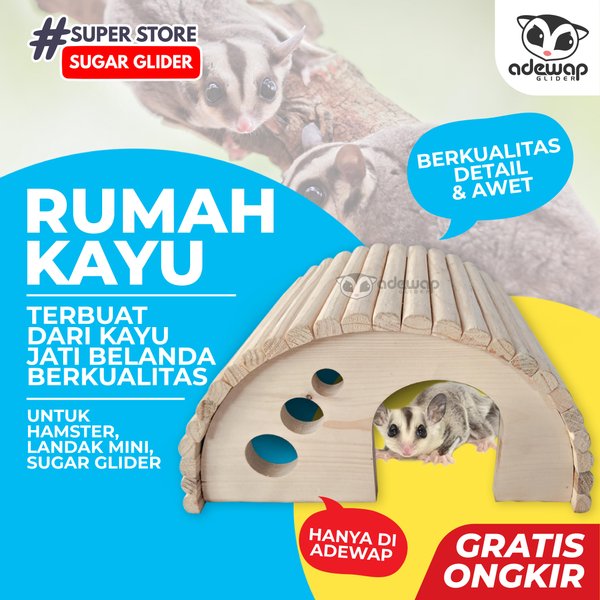 Detail Rumah Untuk Sugar Glider Nomer 36