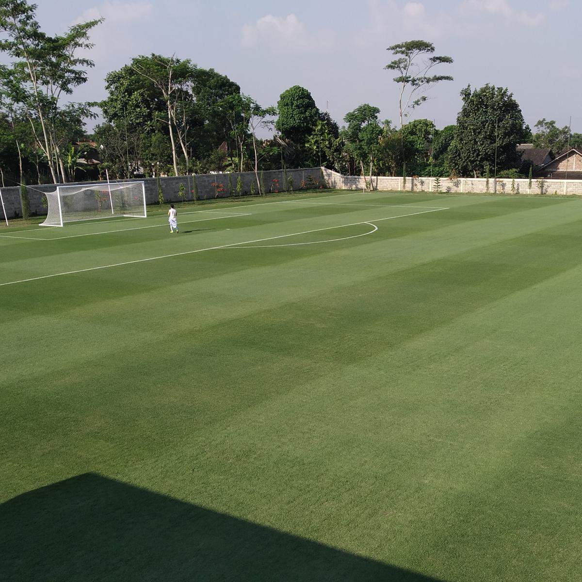 Detail Rumput Lapangan Bola Terbaik Di Dunia Nomer 23