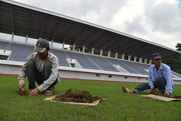 Rumput Lapangan Sepak Bola - KibrisPDR