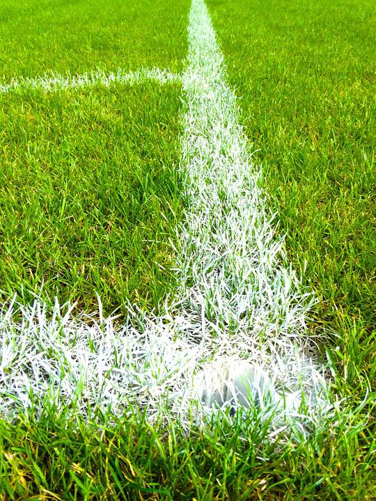 Detail Rumput Lapangan Sepak Bola Nomer 15