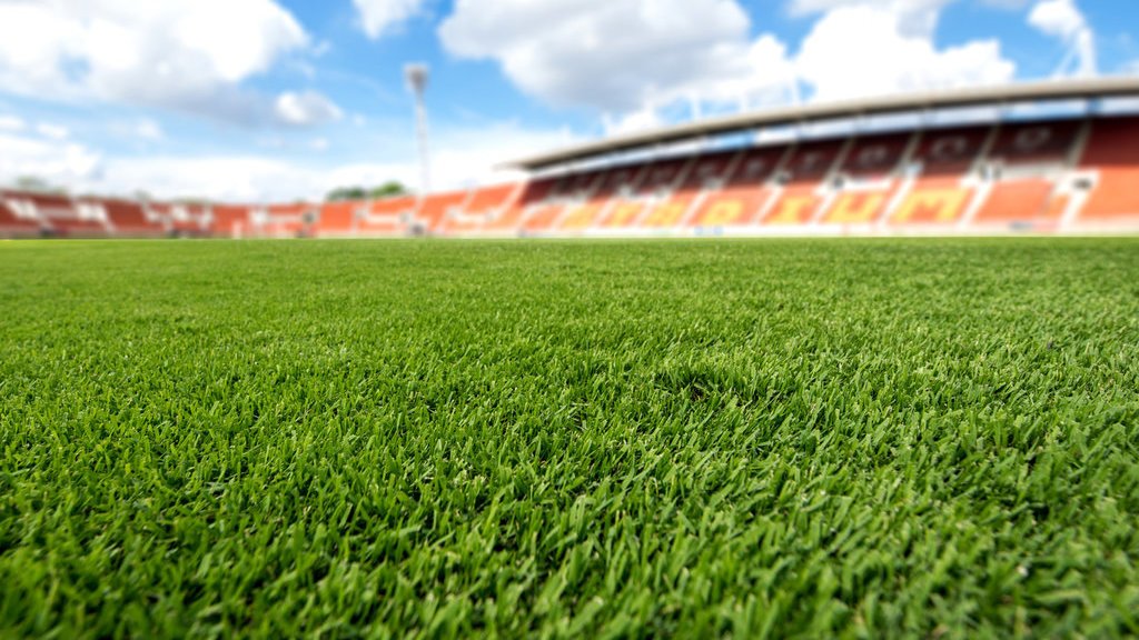 Detail Rumput Lapangan Sepak Bola Nomer 2