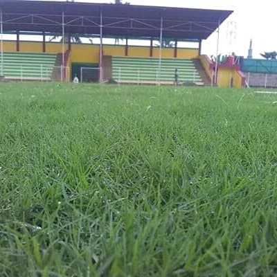 Detail Rumput Lapangan Sepak Bola Nomer 22