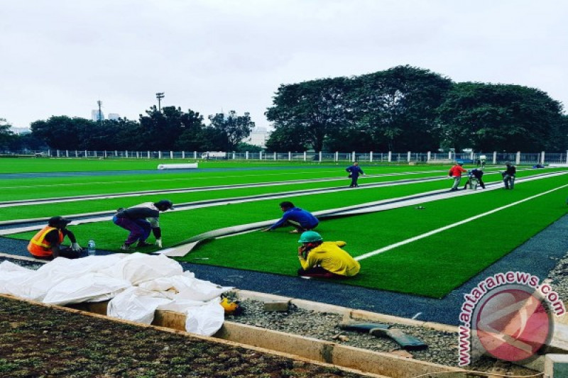 Detail Rumput Lapangan Sepak Bola Nomer 36