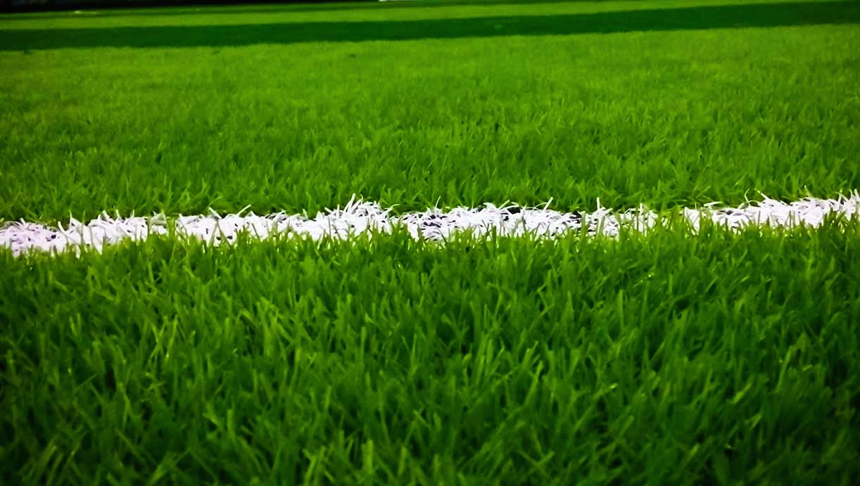 Detail Rumput Lapangan Sepak Bola Nomer 5