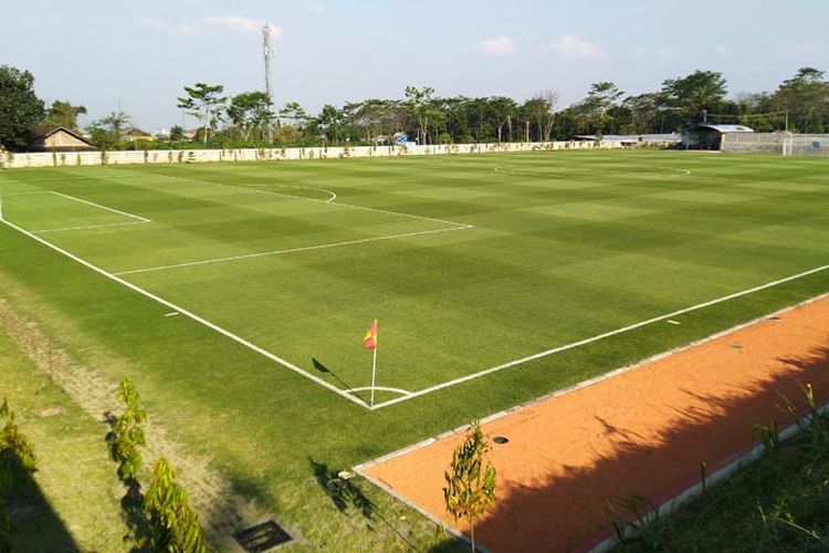 Detail Rumput Sintetis Lapangan Bola Nomer 20