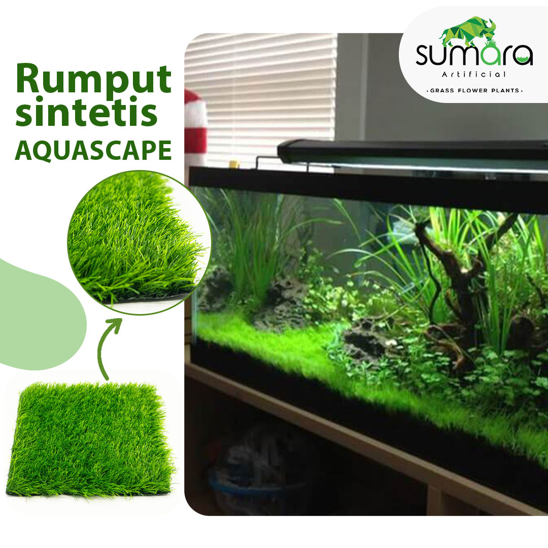 Detail Rumput Untuk Aquascape Nomer 20