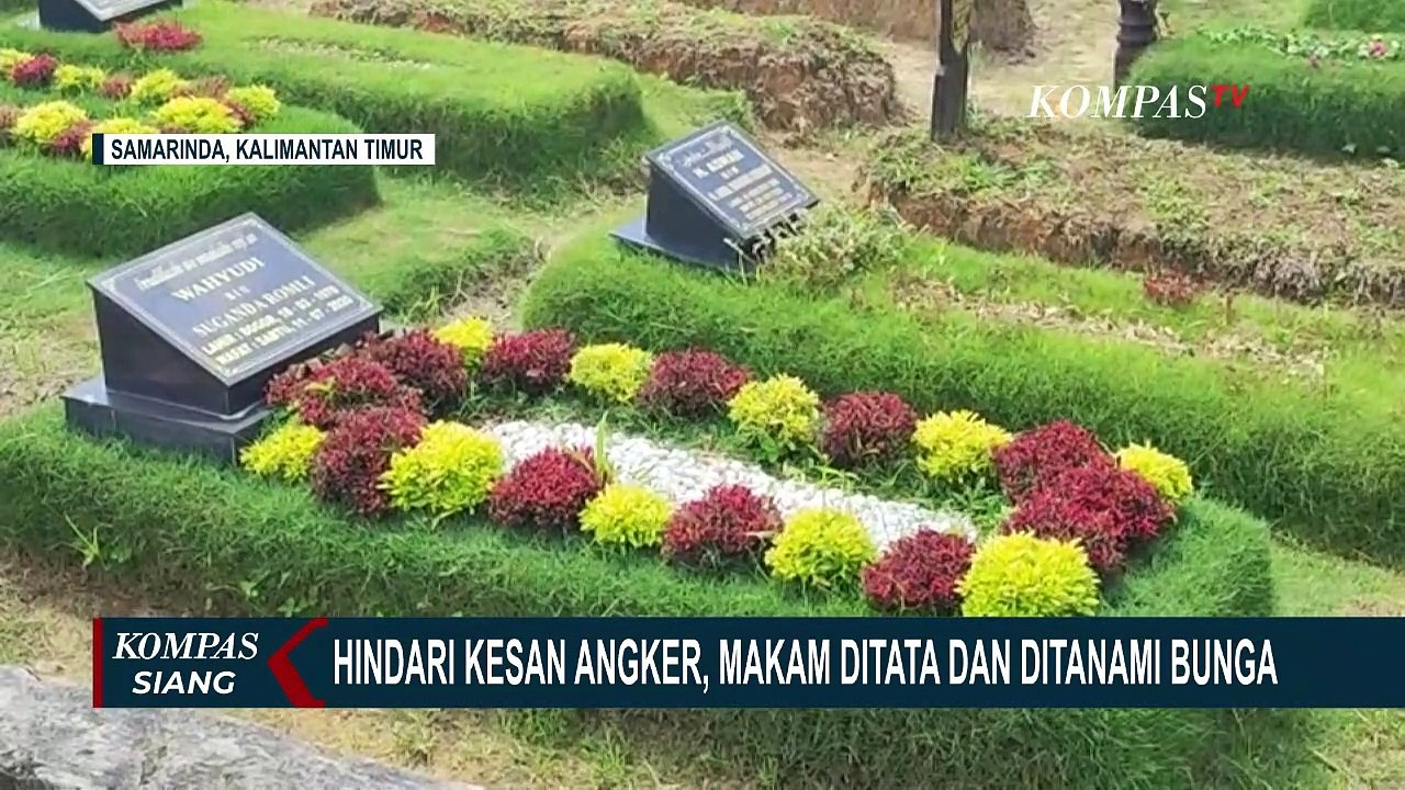 Detail Rumput Untuk Makam Nomer 13