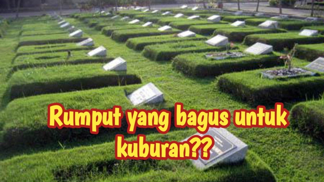 Detail Rumput Untuk Makam Nomer 4