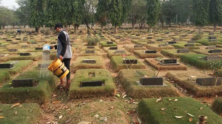 Detail Rumput Untuk Makam Nomer 30