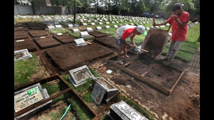 Detail Rumput Untuk Makam Nomer 36