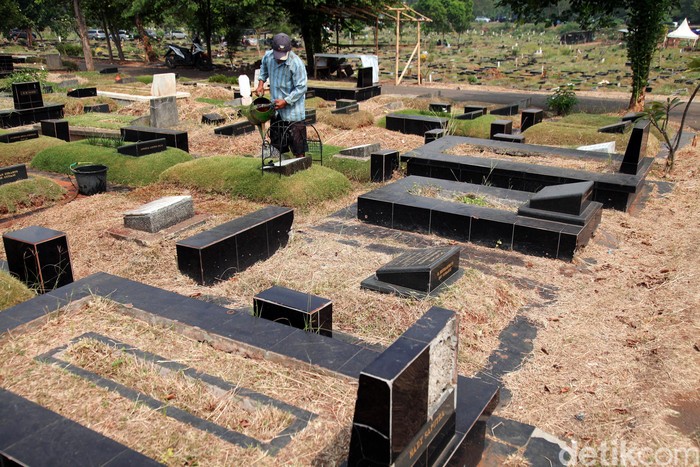 Detail Rumput Untuk Makam Nomer 39