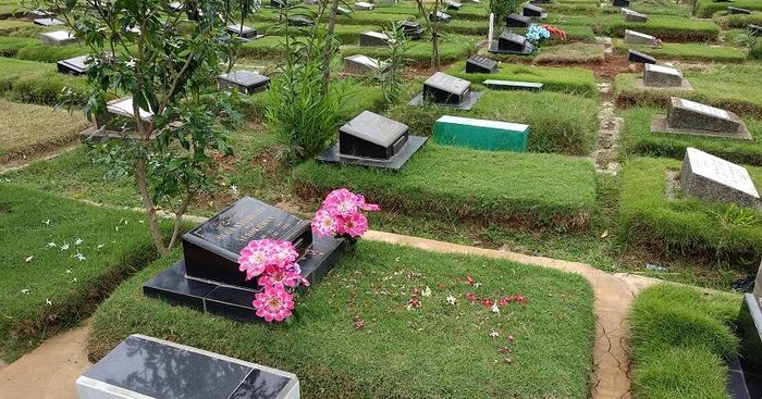 Detail Rumput Untuk Makam Nomer 45