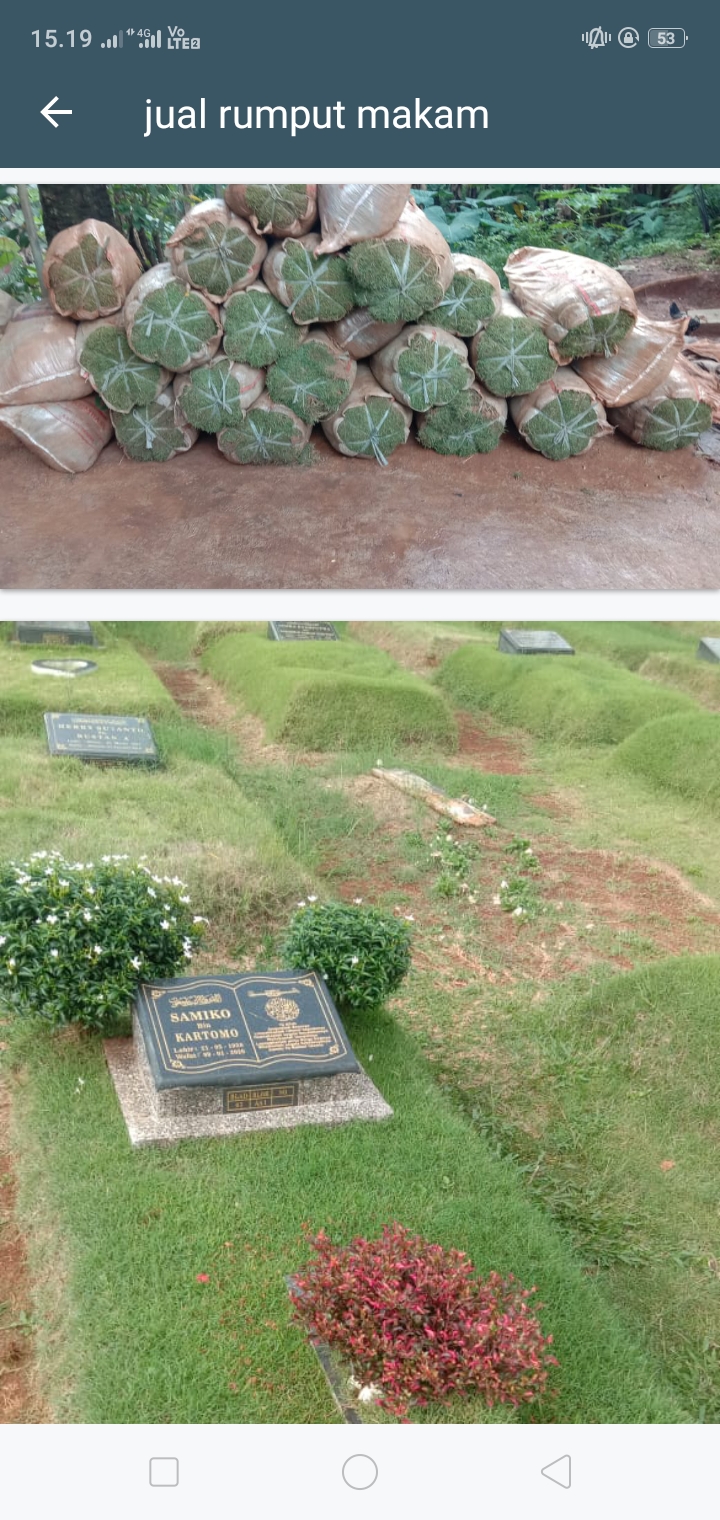 Detail Rumput Untuk Makam Nomer 47