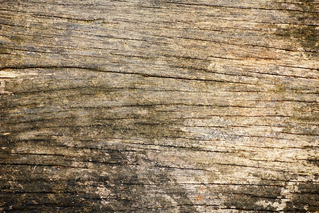 Detail Rustic Background Free Download Nomer 42