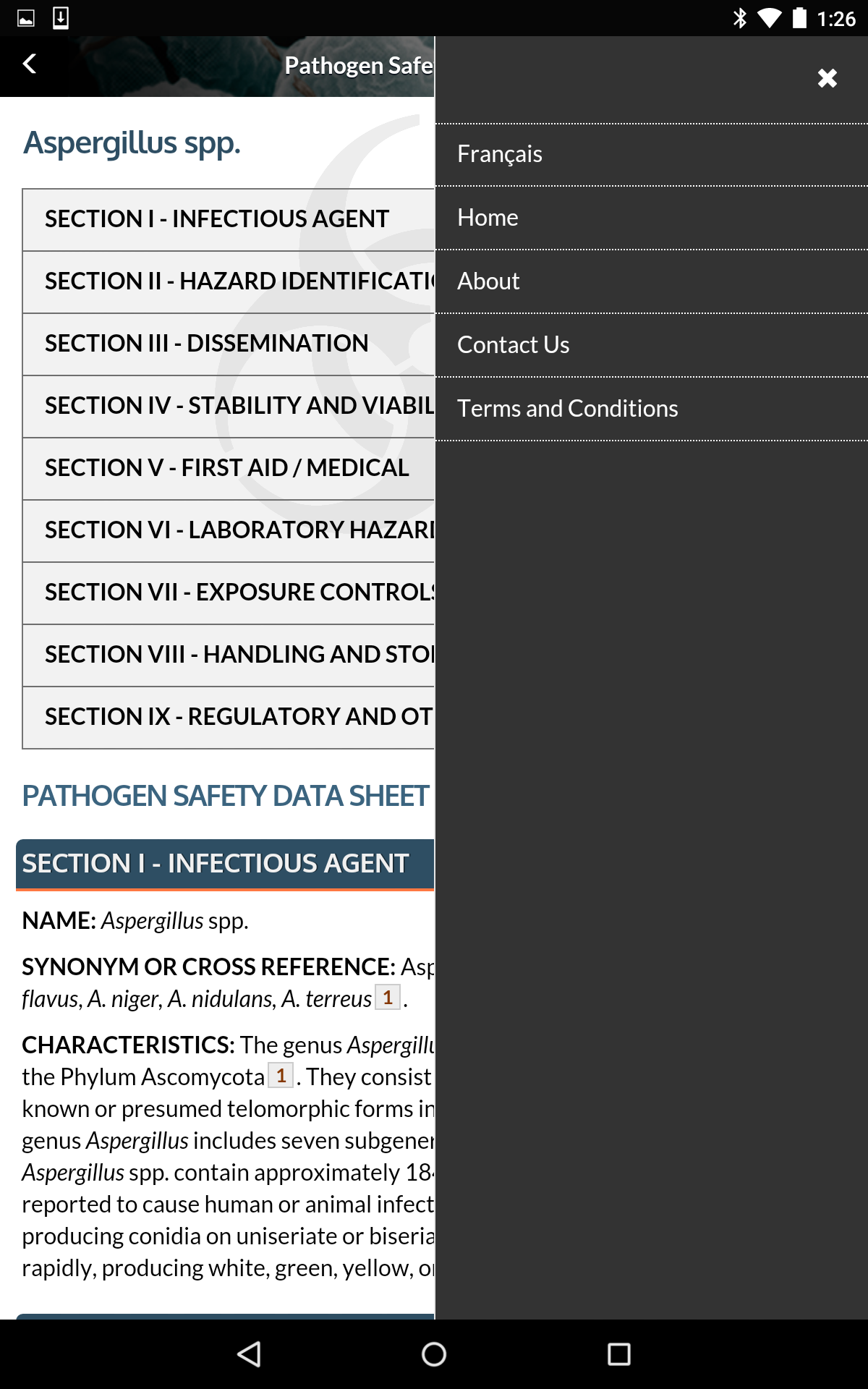 Detail Safety Flash Template Nomer 30