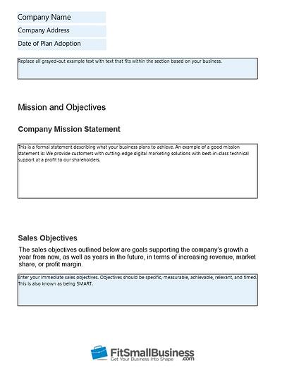 Detail Sales Plan Template Nomer 22