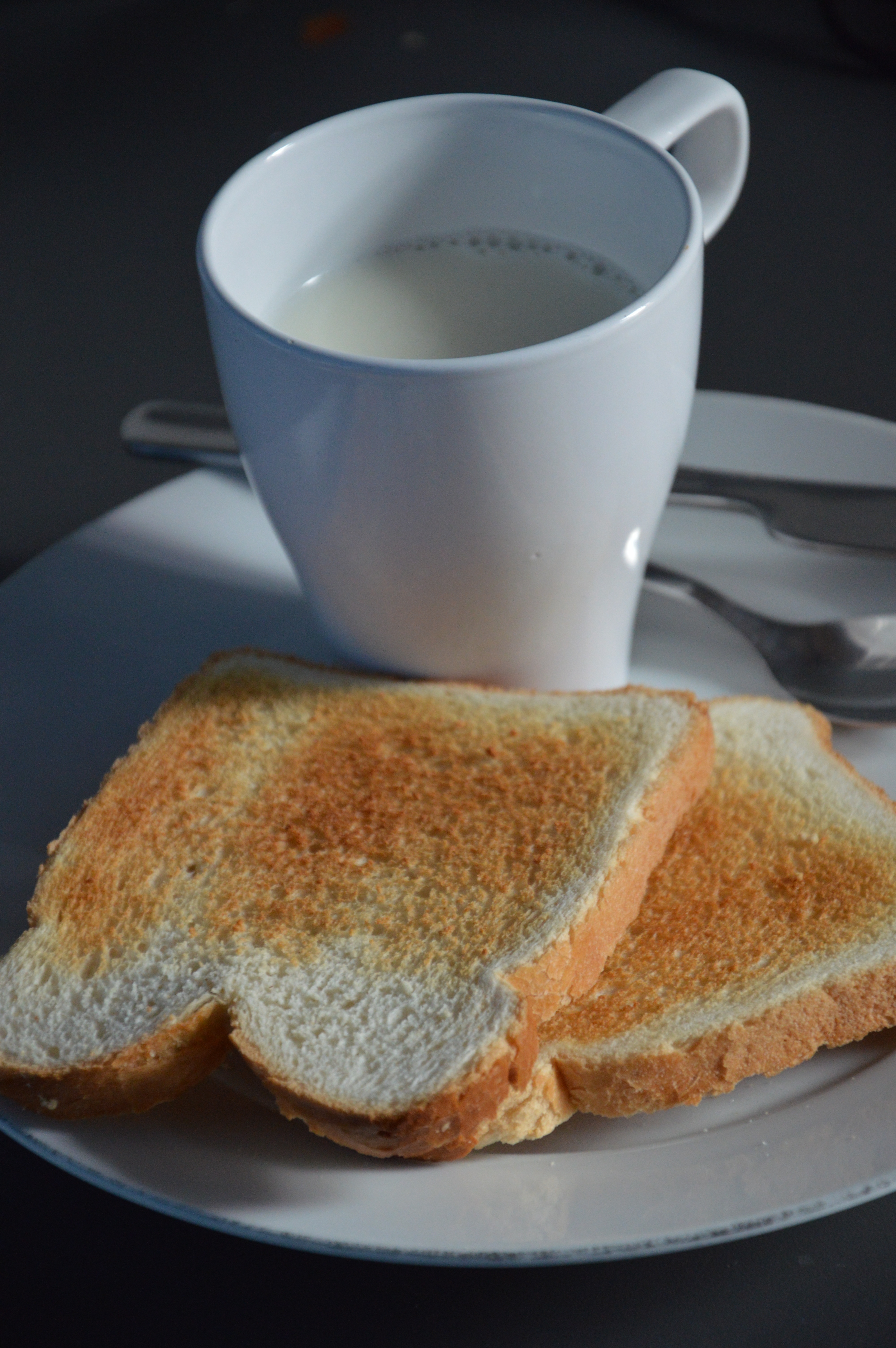 Sarapan Roti Dan Susu - KibrisPDR