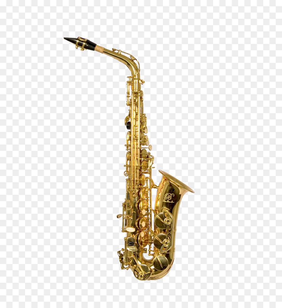 Detail Saxophone Adalah Instrumen Alat Musik Nomer 21