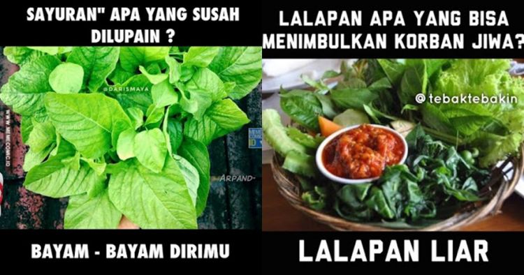 Detail Sayur Apa Yang Dingin Nomer 20