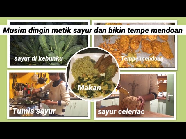 Detail Sayur Apa Yang Dingin Nomer 37