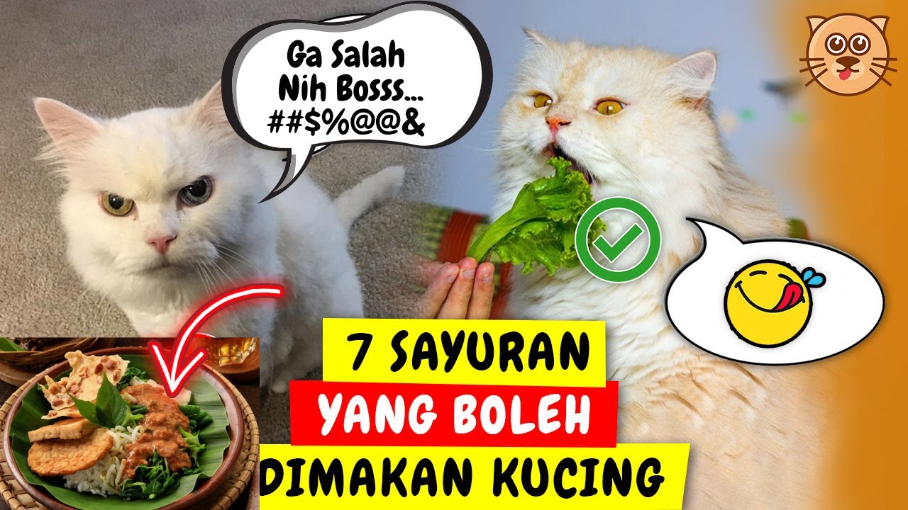 Detail Sayuran Untuk Kucing Nomer 21