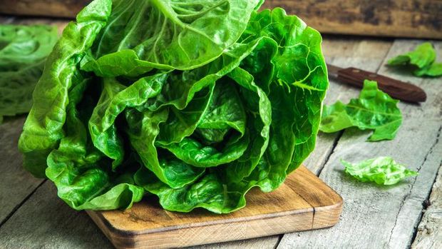 Detail Sayuran Untuk Salad Diet Nomer 42